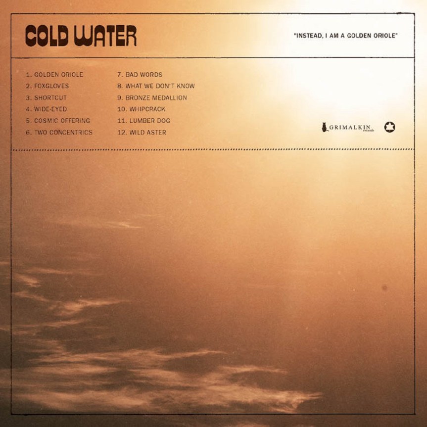 Review: Cold Water – Instead, I am a Golden&nbsp;Oriole