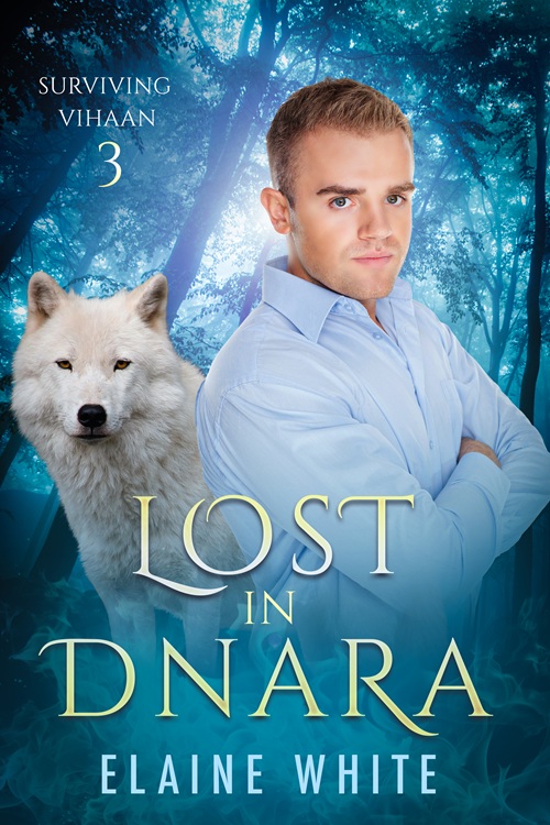 Excerpt from MM Fantasy Romance Lost in Dnara by Elaine&nbsp;white